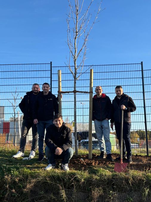 Mitarbeiter beim Bäumepflanzen